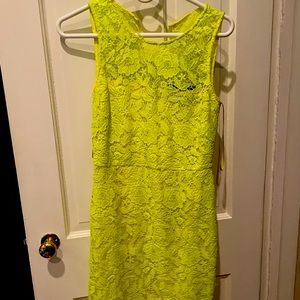 J.Crew collection dress
